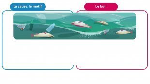Taller de gramática - L'expression du but et de la cause - p. 83