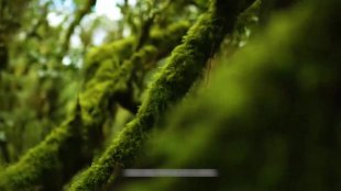 Unidad 1 - Vidéo - Islas iguales - sans sous-titres
