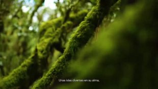 Unidad 1 - Vidéo - Islas iguales
